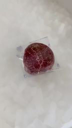 Natural Black Angus Prime Filet Mignon Steak, Grass Fed (Bulk Case)