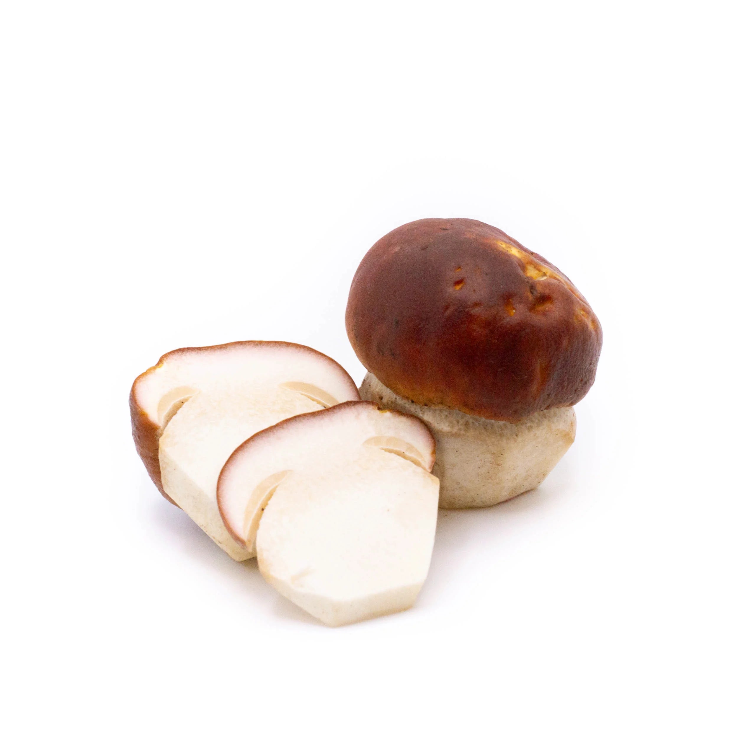 Fresh Wild Rocky Mountain Porcini Mushrooms