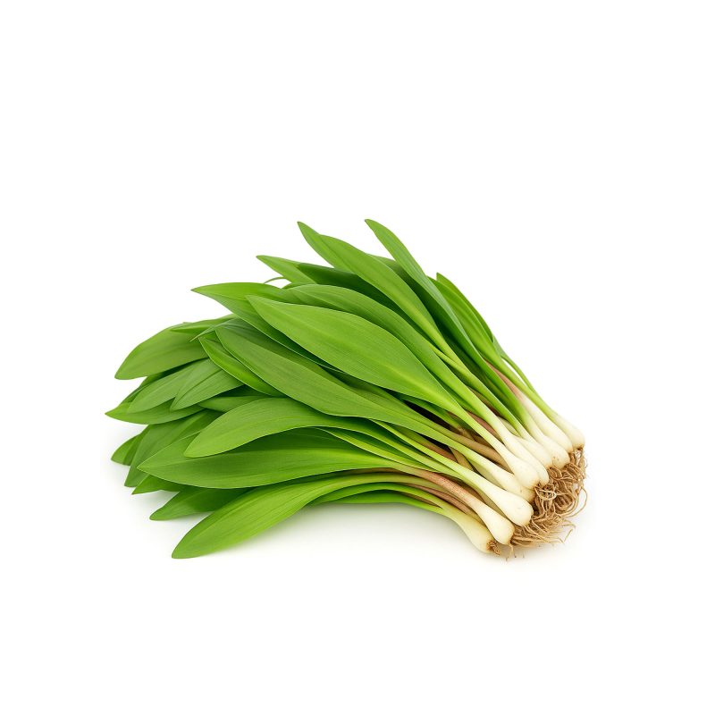 Wild Ramps