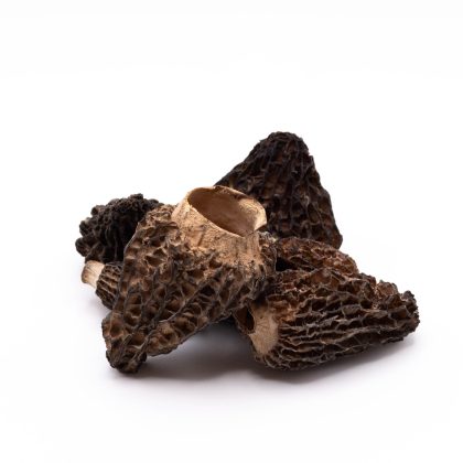 Dried Morels