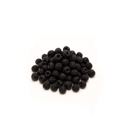 Fresh Frozen Wild Black Raspberries