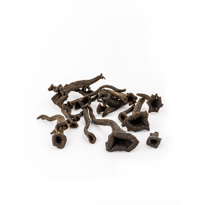 Fresh Black Trumpet Mushrooms