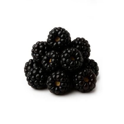 Fresh Frozen Trailing Blackberries/Pacific Dewberries