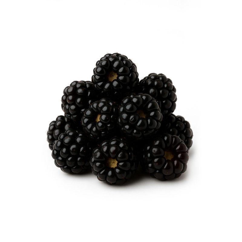 Fresh Frozen Trailing Blackberries/Pacific Dewberries