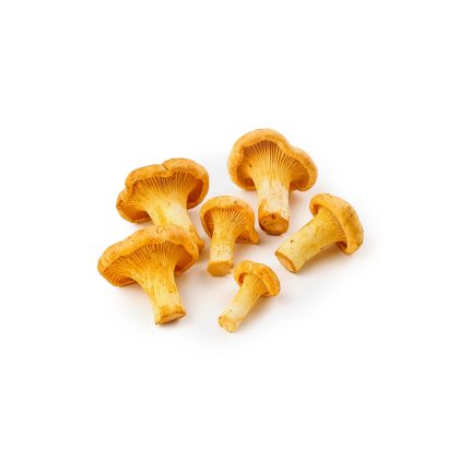 Fresh Wild European Chanterelles