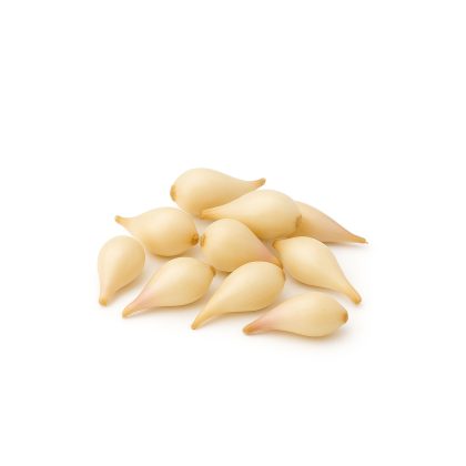 Fresh Wild Ramp Bulbs