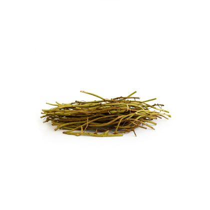 Wild Ginger Roots