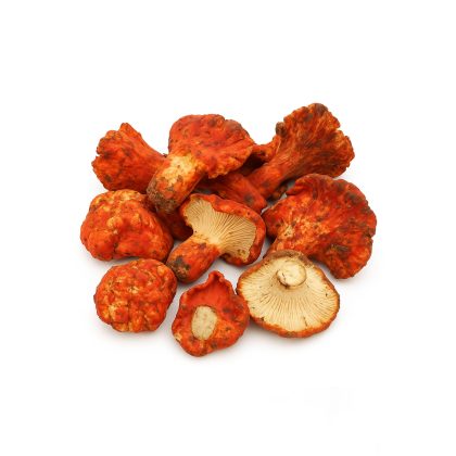 Fresh Wild Lobster Mushroom